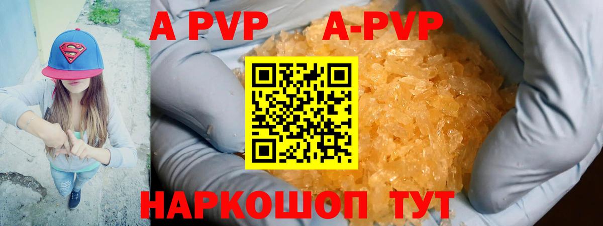 Alfa_PVP СК Пенза