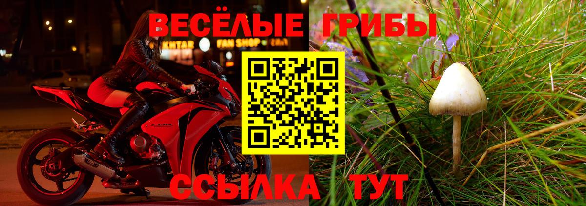 Галлюциногенные грибы мухоморы Пенза