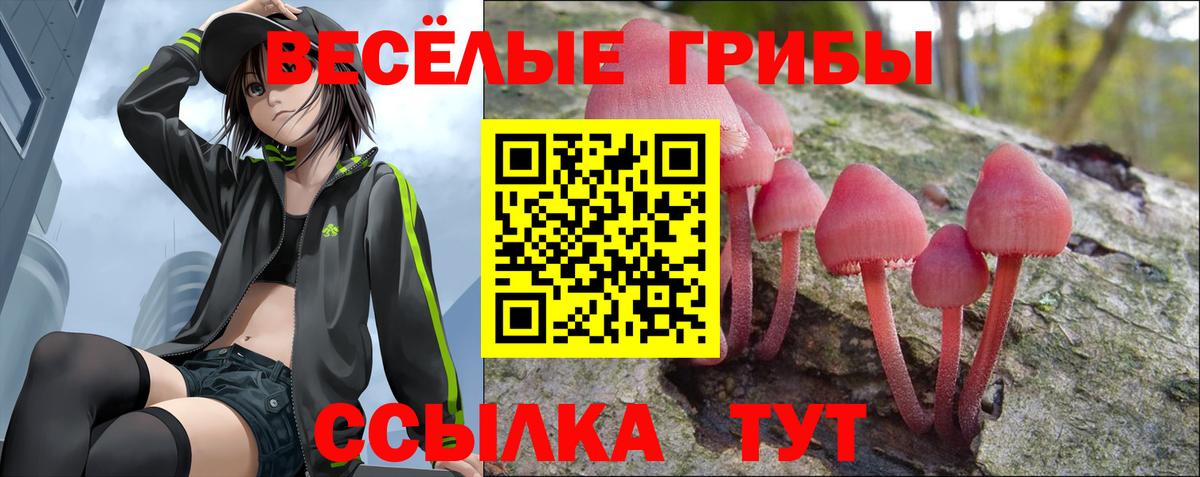 Псилоцибиновые грибы Psilocybine cubensis  Галлюциногенные грибы Cubensis  Пенза  Вход с VPN 
